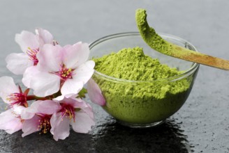 Bowl with green tea powder, Japanese cherry (Prunus), Decoration, Bamboo spoon, Green tea, Green