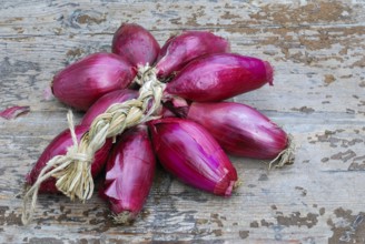 Bunch red onions, onion