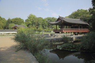 Korean Garden with Temple Pavilion Plum Arbour and Pond, Grüneburgpark, Chinese, Garden Art,