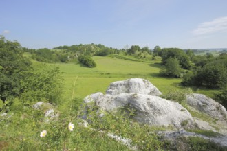 Landscape with limestone rocks Kripp- und Hielöcher, Frankenshausen, Berkatal, Frau-Holle-Land,