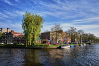 Boats and houses and canal. Harlem, Netherlands