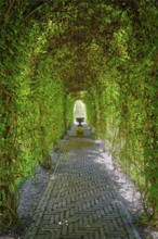 Green berceau arbour trellis overgrown garden path arcade arch way in Keukenhof garden. Lisse,