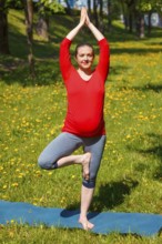 Pregnancy yoga exercise, pregnant woman doing asana vrikshasana tree pose outdoors on grass lawn