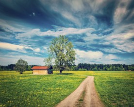 Vintage retro effect filtered hipster style image of rural road in summer meadow with wooden shed.