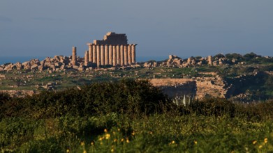 Temple C, Temple of Apollo, Green Meadow, Selinunte, Archaeological Site, Temple, Southwest Sicily,