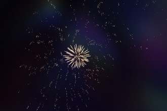 Fireworks in the night sky, wallpaper