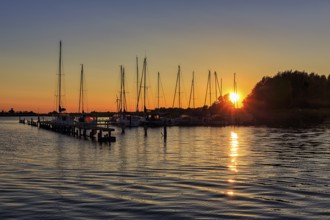 Sailing boats at sunset, waterway rest area, backlight, Wustrow harbour, Saaler Bodden, Fischland,