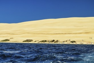 View from the Atlantic Ocean on Dune, Dune du Pilat, Banc d'Arguin nature reserve, Arcachon basin,