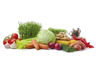 Variety of fresh juicy vegetables on white background. World food day concept