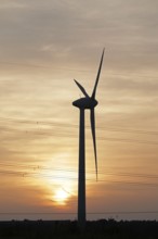 Wind power plant, sunset, Melbeck, Samtgemeinde Ilmenau, Lower Saxony, Germany, Europe