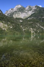 Königssee, view down to the lake bed, clear water, Schönau, Königssee, Berchtesgaden National Park,