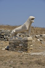 Marble Lion on the Lion Terrace, ancient site, Delos, UNESCO World Heritage Site, Cyclades, Greece,