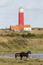 Lighthouse, De Cocksdorp, Texel, Netherlands