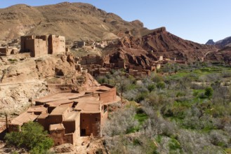 Morocco, Dades Valley, Valley of the Kasbahs, Dade Gorge, High Atlas, Ait Ibrirne, Africa