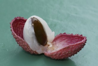 Lychee (Litchi chinensis) fruit