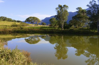 Trees reflecting in a pond, Serra da Canastra, Minas Gerais state, Brazil, South America