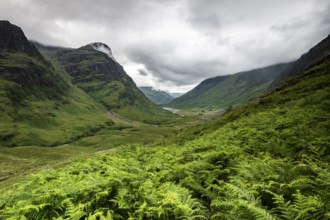 Glencoe Valley, West Highlands, Scotland, United Kingdom, Europe