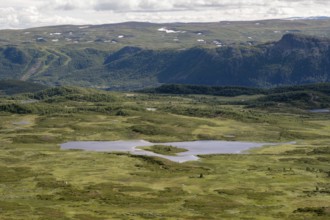 Tundra landscape with birch forests and lakes, Fjell, Øystre Slidre, Jotunheimen National Park,