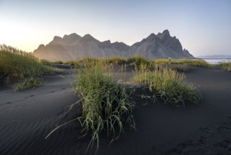 Tourist on a sand dune, Black beach with volcanic sand, Sand beach, Dunes with grass, Stokksnes