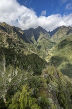 Densely overgrown steep mountains, green mountain landscape, view from the Miradouro dos Balcões,