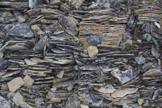 Close-up of shattered sedimentary rock, slate, shale fractured along existing joints by frost