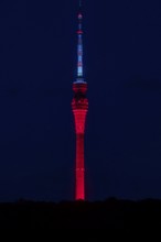 Nightoflight202, TV Tower