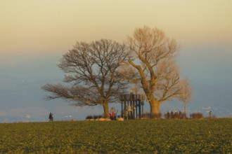 The landmark on the ridges around Dresde, n the Babisnau poplar is a popular hiking destination