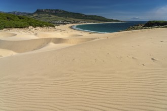 The beach and the dune of Bolonia, Tarifa, Costa de la Luz, Andalusia, Spain, Europe