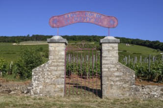 Stone gate at the vineyard of the Clos de la Roche winery, Route des Grand-Crus, Route of Fine