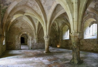 Ceiling arches, Fontenay Cistercian Abbey, Unesco World Heritage Site, Cote dOr, Burgundy, France,