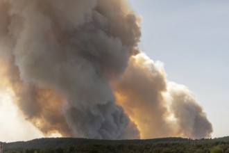 Forest fire wreaks havoc on causse de sauveterre. Montuejols, Aveyron, Cevennes, France, Europe