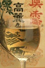 Ginseng (Panax ginseng) Ginseng wine, ginseng, ginseng root, medicinal plant of Asian medicine