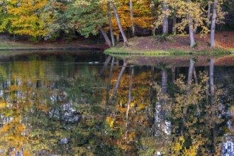 Ponds at Homborn, nature reserve, Homborn Valley, Borken, Münsterland, North Rhine-Westphalia,