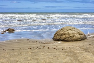 Moeraki Boulders Beach, Otago, Neuseeland