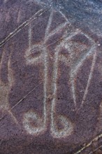 Petrogyphs, Cerros de Mavecure, Eastern Colombia