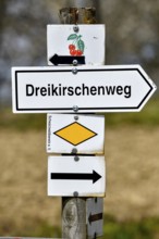 Signpost at the Dreikirschenweg, Mösbach, Ortenaukreis, Black Forest, Baden-Württemberg, Germany,