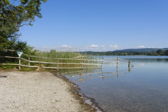 Fence on the shore of Lake Constance, nature reserve, Mettnau peninsula, Radolfzell, Lake