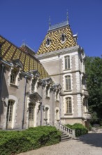 Castle of Aloxe-Corton, Winery, Route des Grands-Grus, Route of Fine Wines, Côte-d'Or Department,