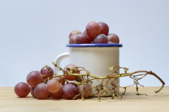 Red grape vine (Vitis vinifera) in cup, partly picked off