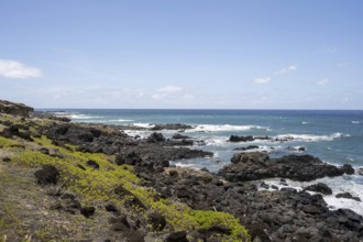 Coastel Hiking Trail Ka'ena-Point, Ka'ena-Point State Park, Oahu, Hawaii, USA, North America