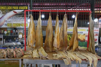 Giant pirarucu fish or (Arapaima gigas) fish hanging in the fish market section, Adolpho Lisboa