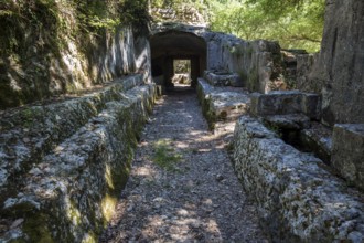 Remains of the medieval monastery of Caluc, Prieuré de Carluc, Cereste, Alpes-de-Haute-Provence