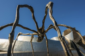 Guggenheim Museum Bilbao, Architect Frank O. Gehry, Sculpture Maman by Louise Bourgeois, Bilbao,