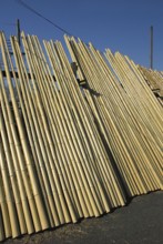 Bamboo poles, processing, products, poles, Kyoto, Japan, Asia