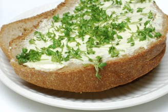 Slices of bread with Garden cress (Lepidium sativum) garden cress, bread, sandwich