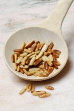 Roasted kernels (Pinus pinea) in wooden ladle