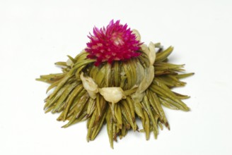 Tea flower 'Petite Princesse', White tea with jasmine and amaranth blossoms