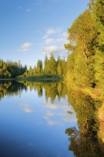 Spruce and pine forest along the lakeshore of the quiet Étang de la Gruère reflected in the water