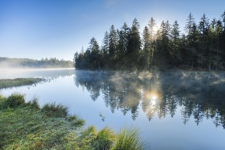 Rays of sunshine make their way through forest and fog at the mirror-smooth moorland lake Étang de