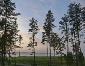 Beach in the Estonian village of Vösu in Lahemaa National Park on the Gulf of Finland, Estonia,